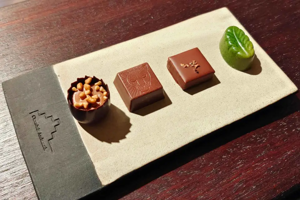 Cata Privada de Chocolate en Gante