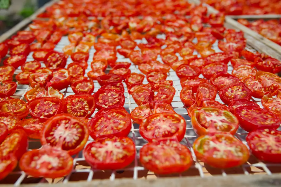 Entrada al Museo del Tomate con audioguía