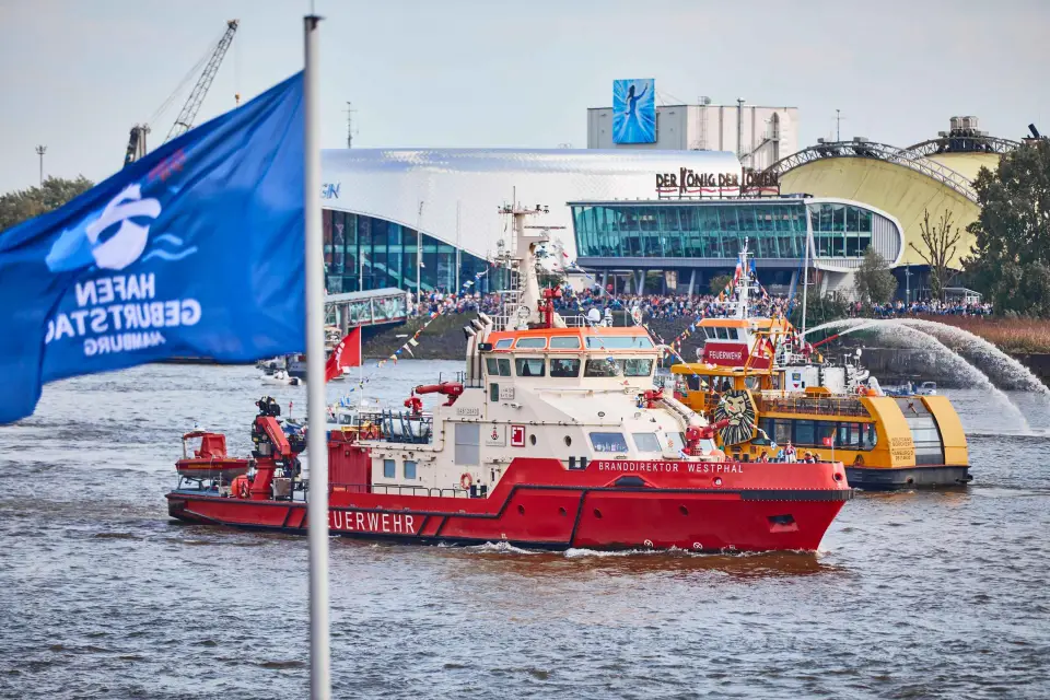 Hamburgo: Crucero del Aniversario del Puerto al Desfile de Entrada