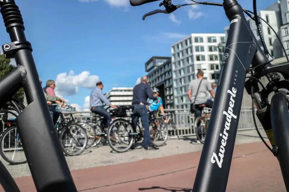 Hamburgo: Szene Bike Tour por los barrios de moda de la ciudad