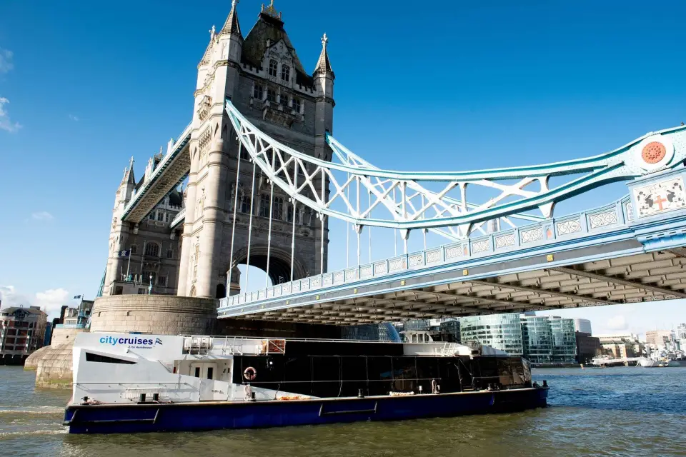 Londres Billete sencillo de crucero de Westminster a Greenwich