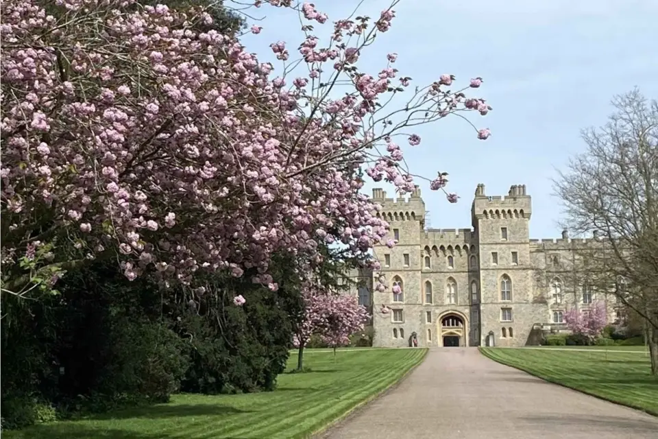 Desde Londres: Excursión de medio día a Windsor con entradas al Castillo
