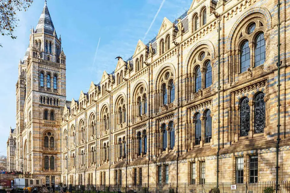 Museo Natural: De Diplodocus a Maravillas de la Ballena Azul