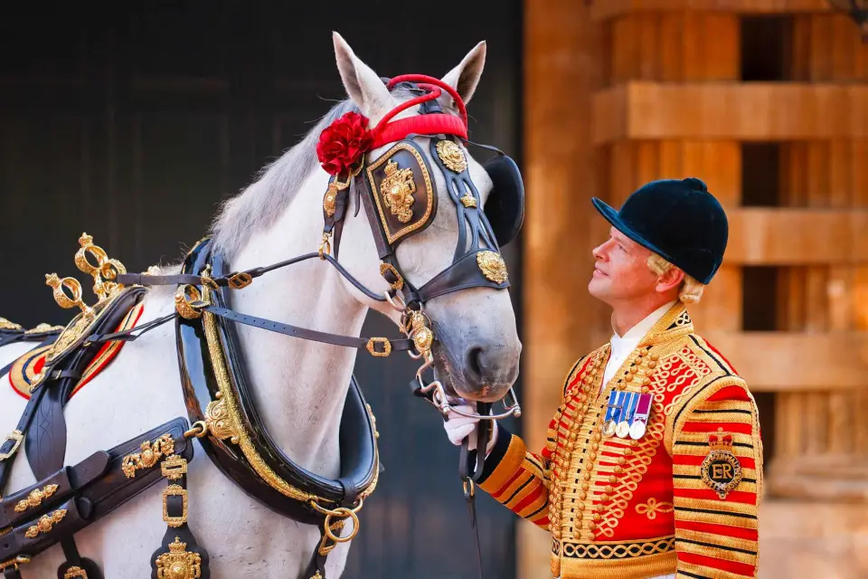 Palacio de Buckingham: The Royal Mews Ticket de entrada