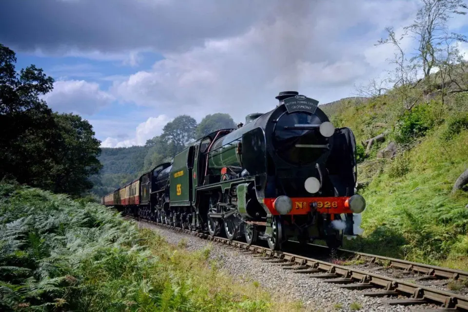 Desde Londres Los páramos de North York con tren de vapor a Whitby