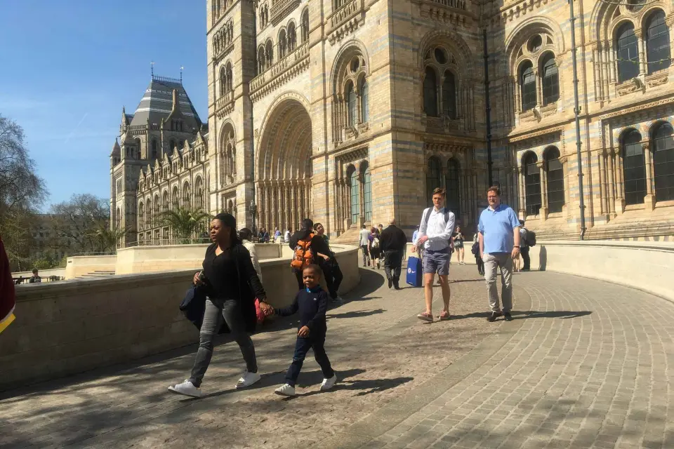 Londres: Ticket de entrada al Museo de Historia Natural y tour guiado