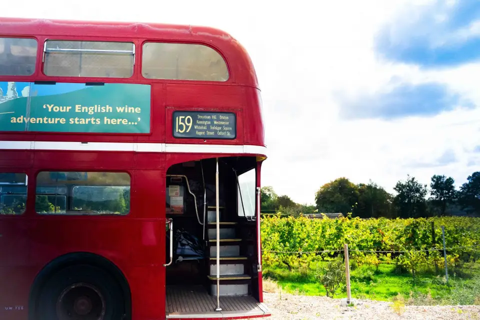 Desde Londres: Tour del vino en autobús de época con billetes de tren de ida y vuelta