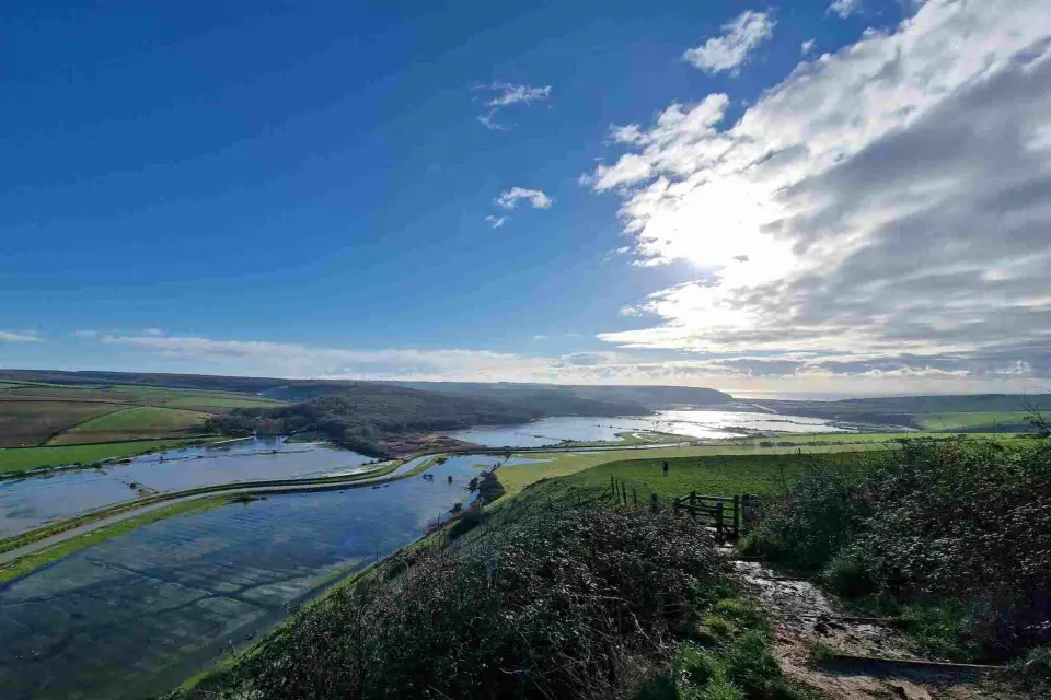 Desde Londres: Visita guiada a los pueblos de Sussex y White Cliff