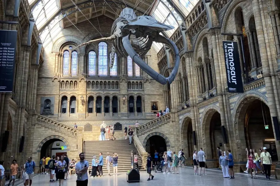 Londres : Visite du Musée d'histoire naturelle pour les enfants et les familles
