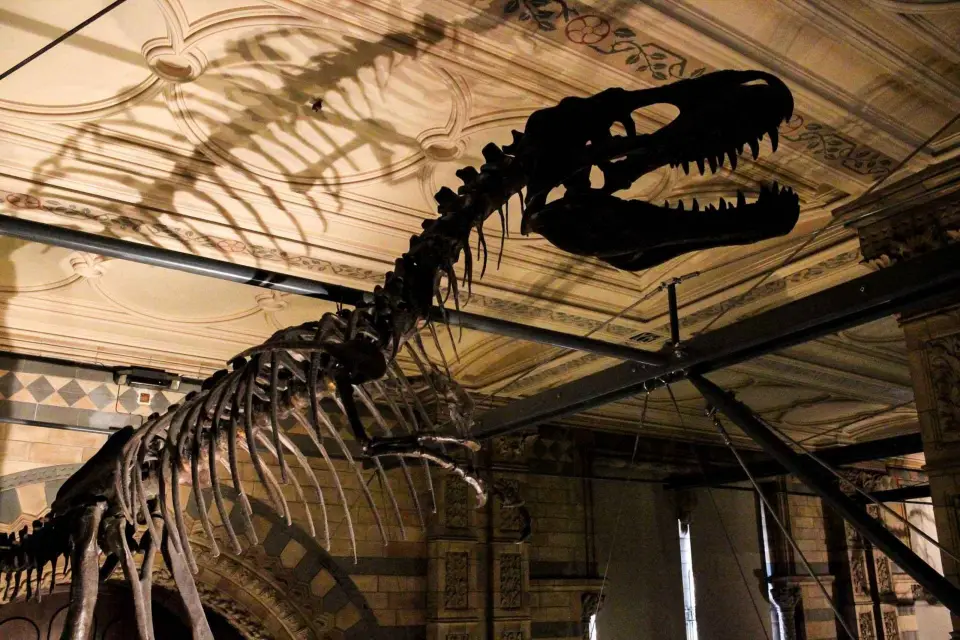Londres: Visita al Museo de Historia Natural