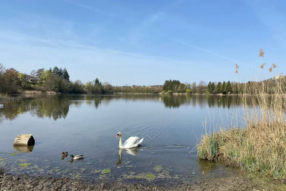 Lyon: excursión autoguiada fuera de los caminos trillados (tren y picnic)