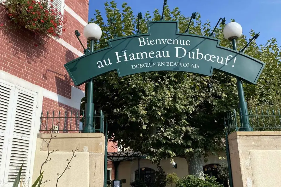 Excursión de un día autoguiada en tren al Beaujolais (desde Lyon)