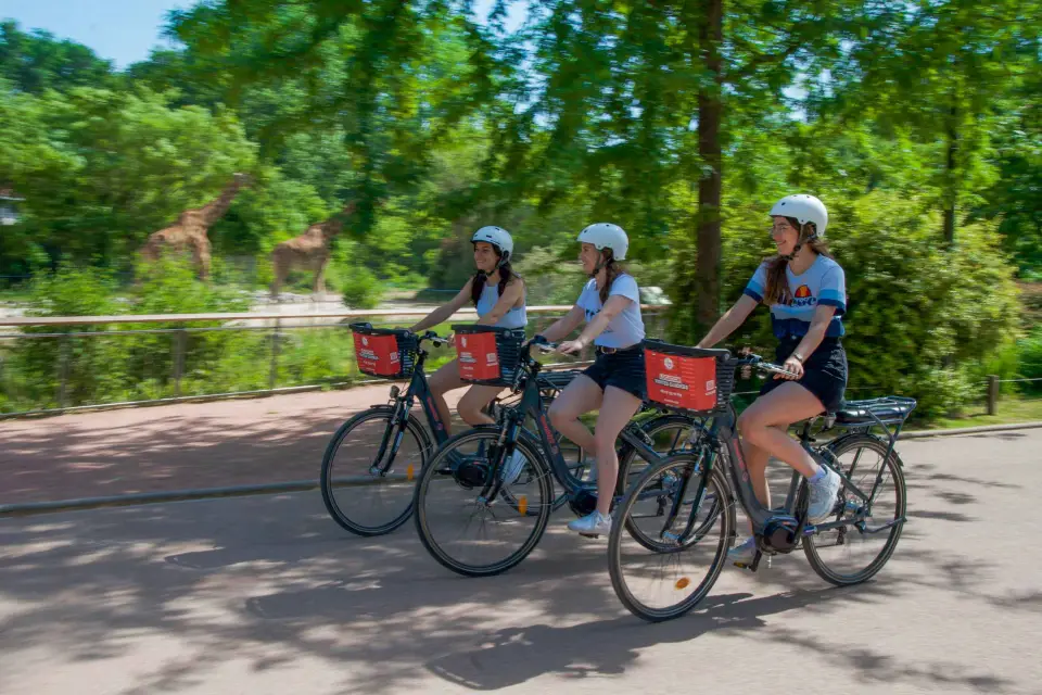 Lyon: El Gran Recorrido en bici de Norte a Sur