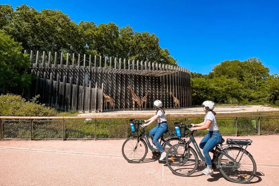 Lyon: Recorrido en bici por el Parque Tête d'Or