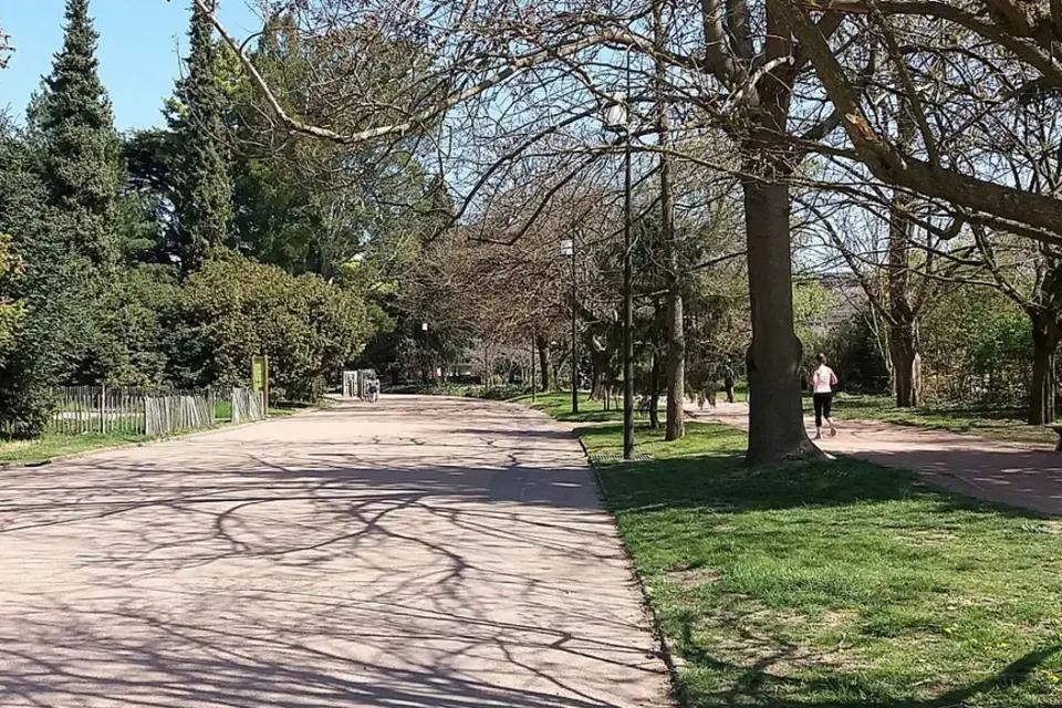 Lyon: Traslado privado y tour turístico