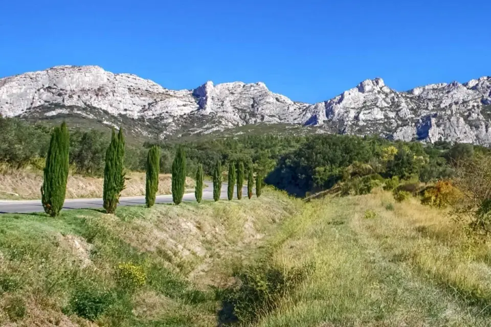Desde Marsella: Excursión enológica de un día a Les Baux de Provence