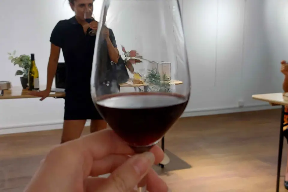 RUTA DEL VINO PROVENZAL