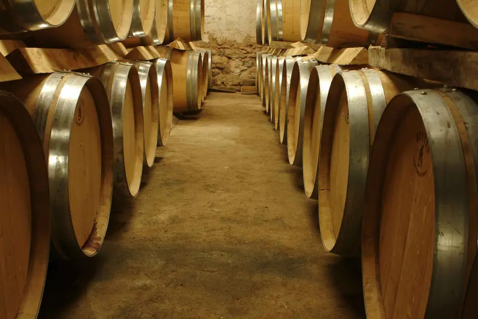 Ruta del Vino y el Queso por Aix en Provence desde Marsella