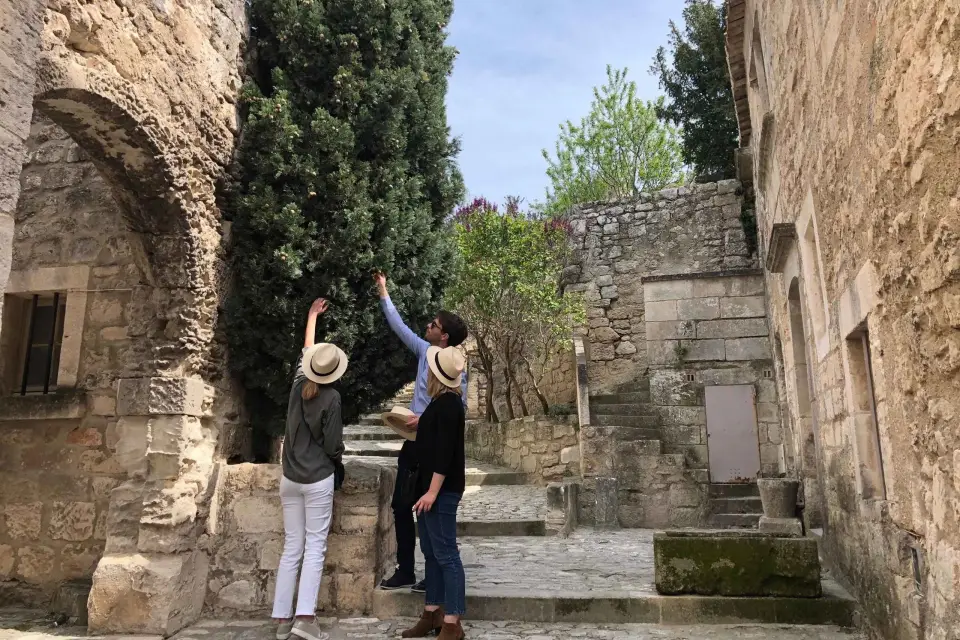 Desde Marsella: Saint Rémy de Provence, Les Baux y Arles
