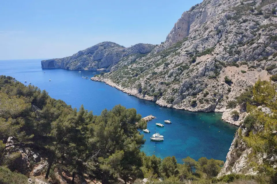 Marsella: Senderismo guiado Parque Nacional de las Calanques desde Luminy
