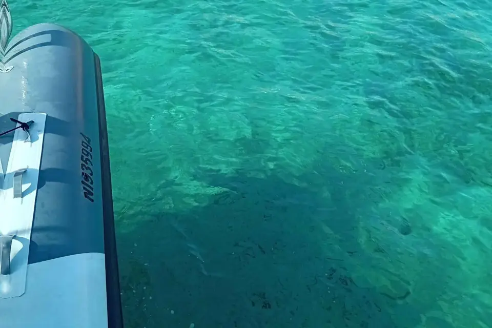 Desde Marsella: Tour en barco por las islas Frioul con parada para nadar