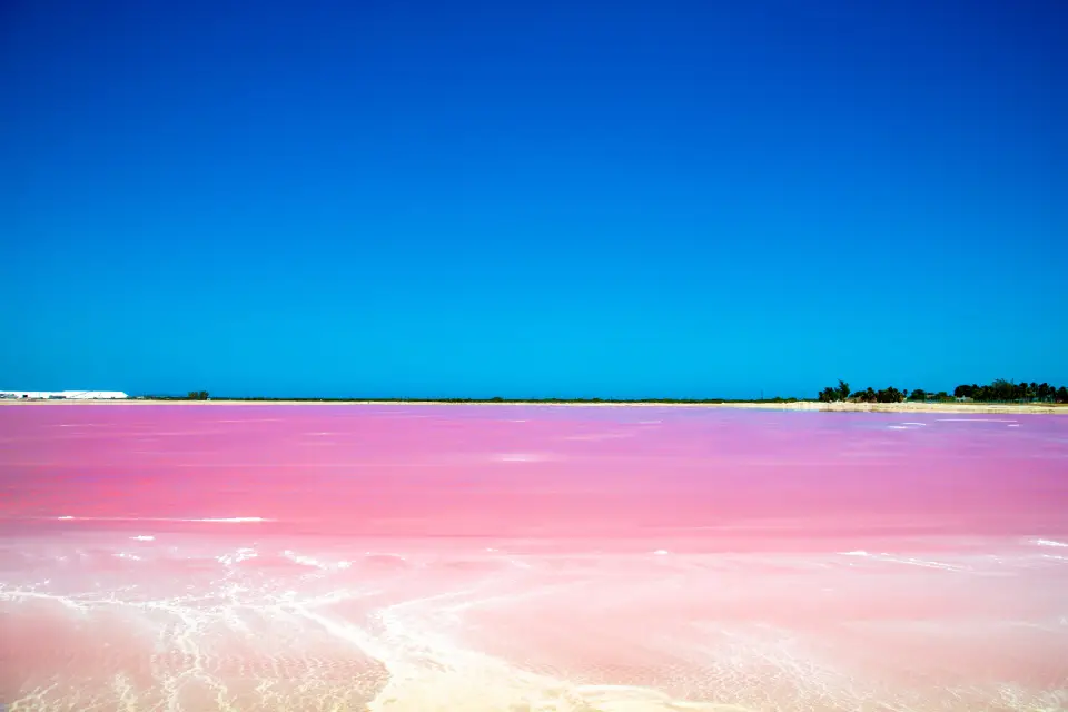 Excursión a Las Coloradas