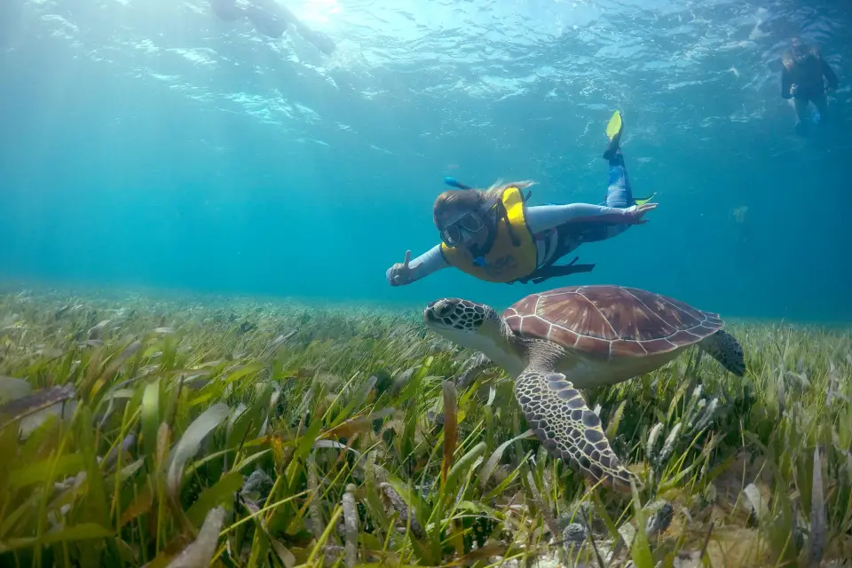 Snorkel nocturno en Cancún