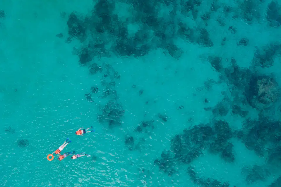 Snorkel en Cancún
