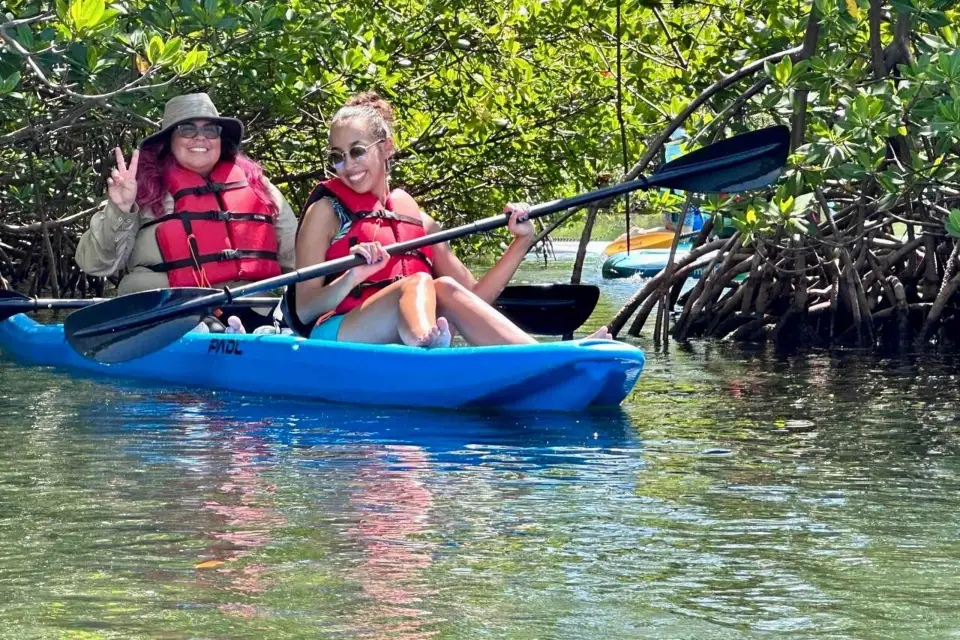 Miami: Alquiler de tablas de paddle o kayaks en Virginia Key