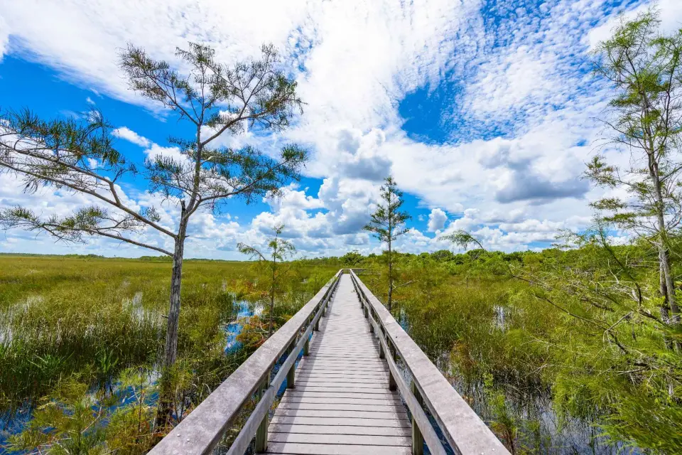 Ciudad de Florida: Recorrido en coche por el Bundle Ultimate de Florida