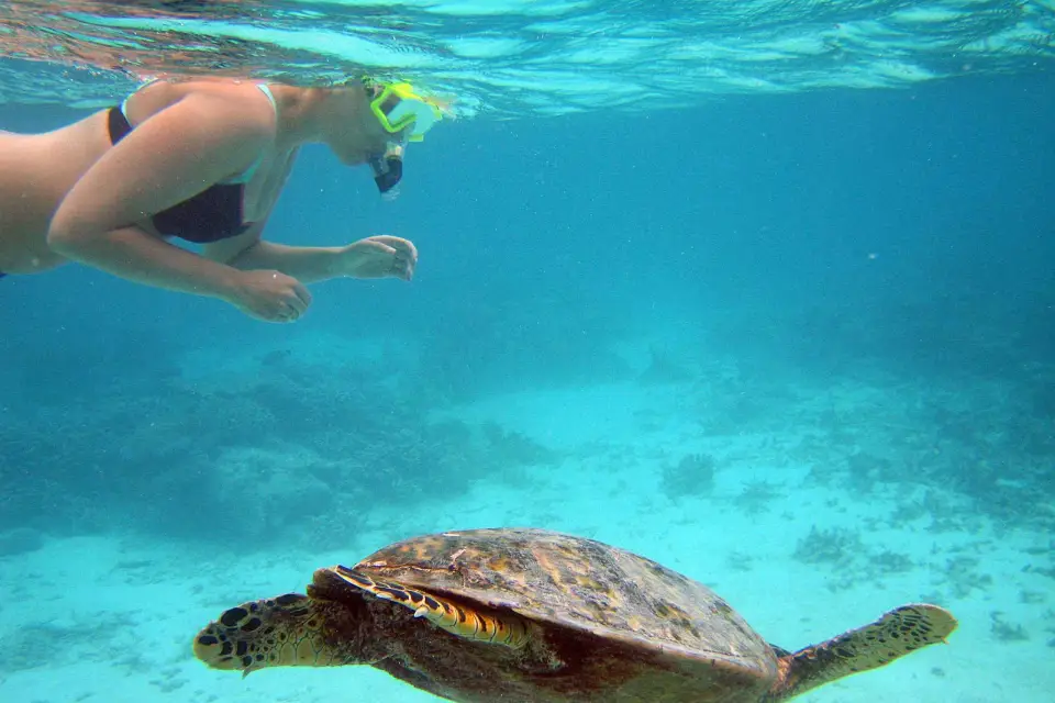Desde Miami: excursión de día a Cayo Hueso