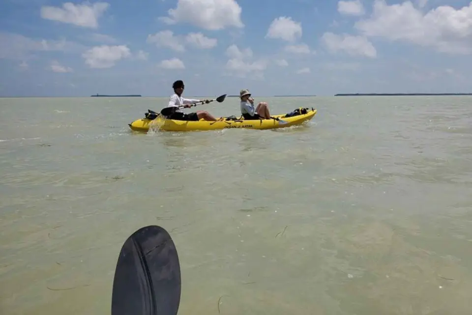 Miami: Excursión de un día en kayak y senderismo por el Parque Nacional de los Everglades