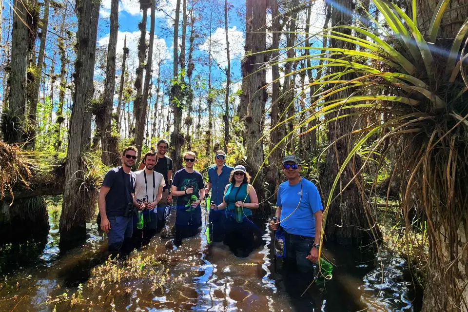 Desde Miami: Excursión a los Everglades con paseo húmedo, paseos en barco y almuerzo