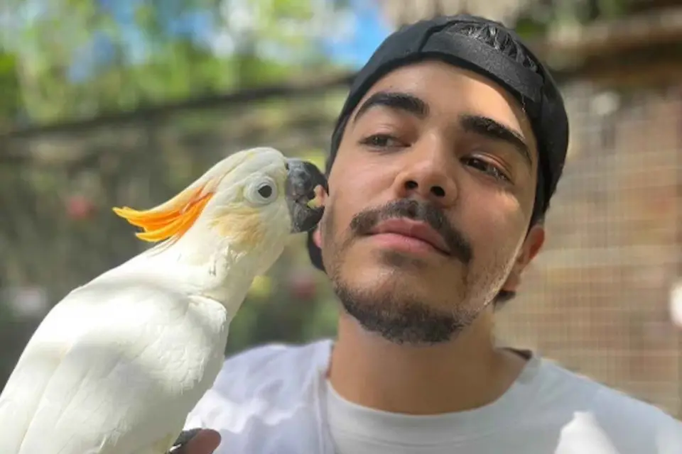 Miami: Experiencia especial con la fauna salvaje - Excursión de 3 horas en el ZWF