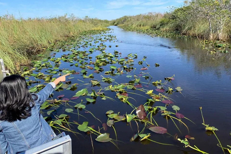 Miami: Experiencia en hidrodeslizador, fotos y caimanes en los Everglades