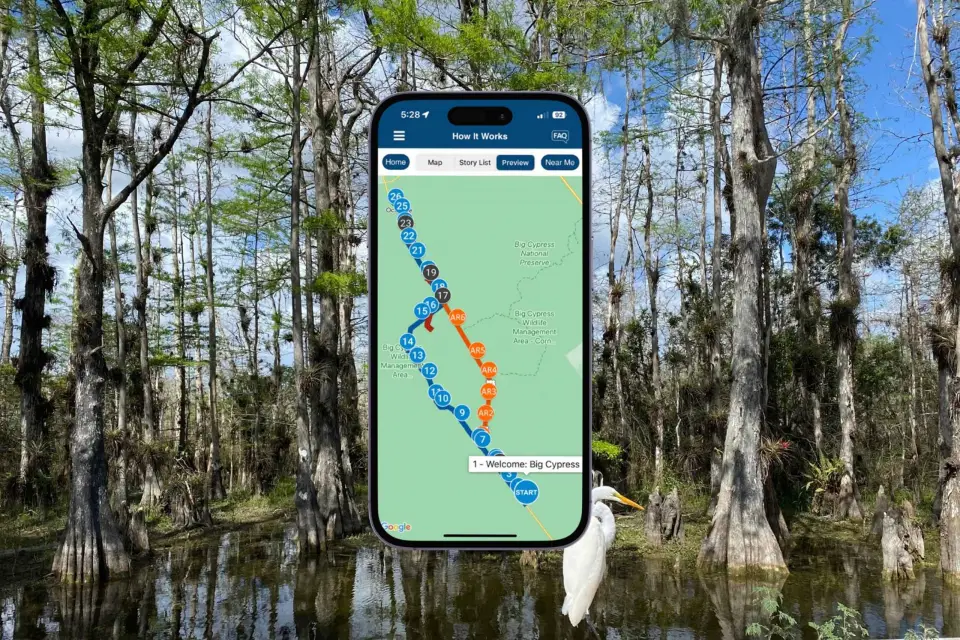 Florida: Audioguía por la Reserva Nacional del Gran Ciprés