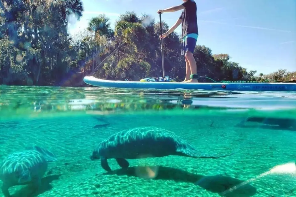 Norte de Miami: Exploración de la Naturaleza y las Islas en SUP/Kayak