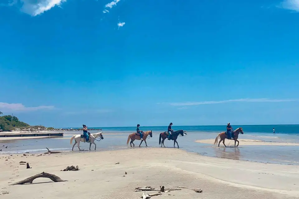 Miami: Paseo a Caballo por la Playa y Sendero Natural