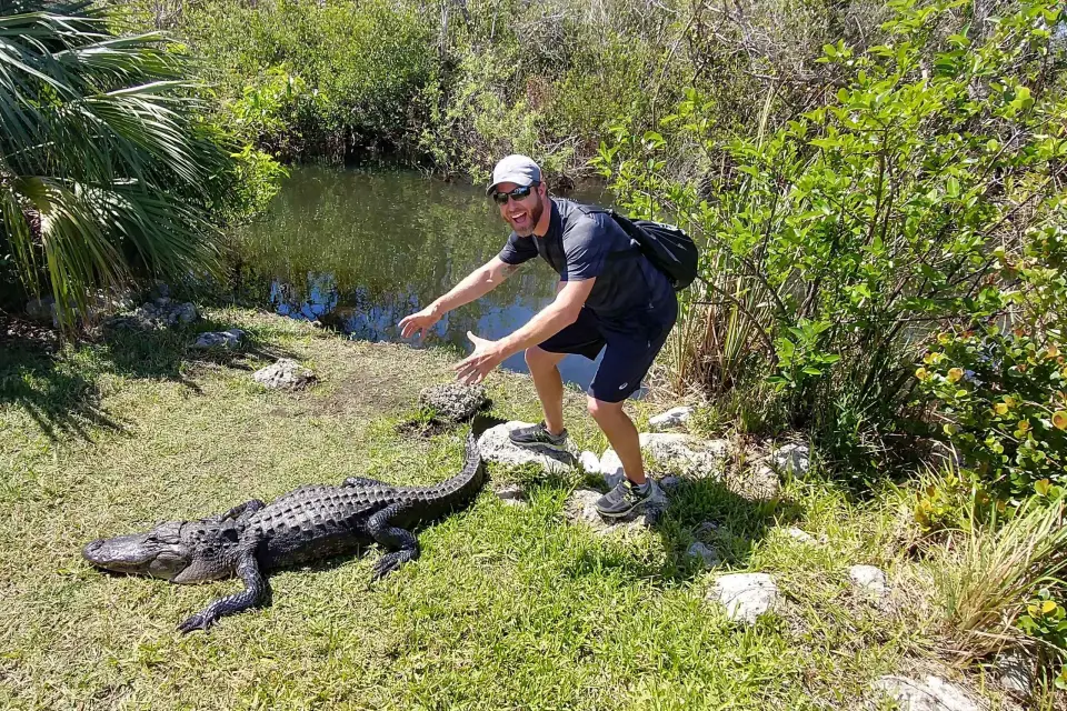 Paseo en hidrodeslizador por los Everglades y caminata guiada