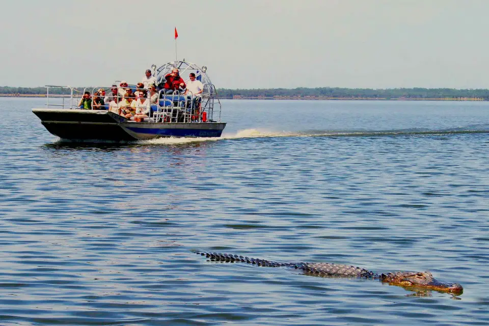 Playa del Sur: Excursión en hidrodeslizador por los Everglades