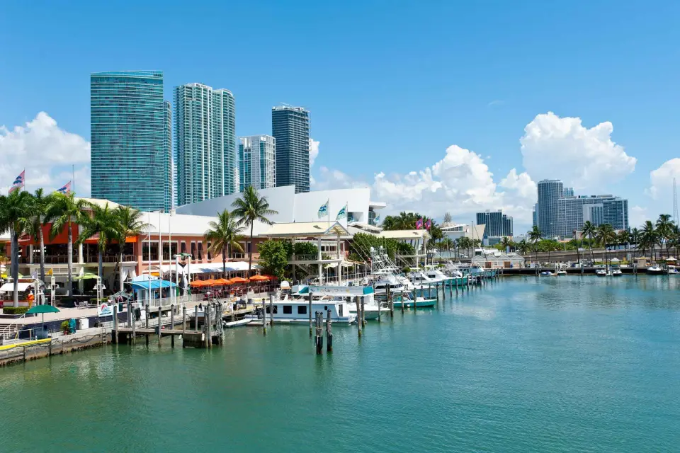Miami: tour de medio día y crucero