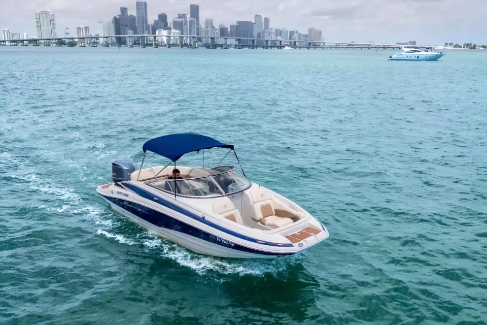 Miami: Tour Privado por la Isla de las Estrellas, el Skyline de Miami y el Río Miami