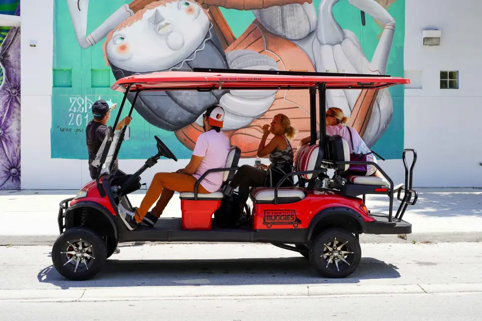 Wynwood Art District Recorrido artístico callejero de 1 hora en Wynwood Buggies