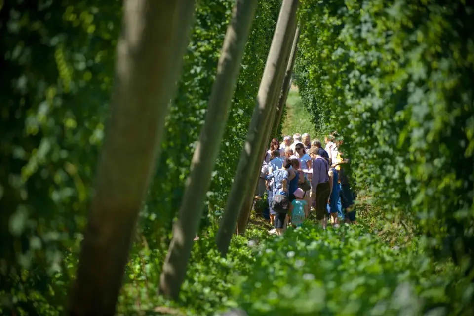 Múnich: El Hop Tour de Baviera - El tour privado de Hallertau