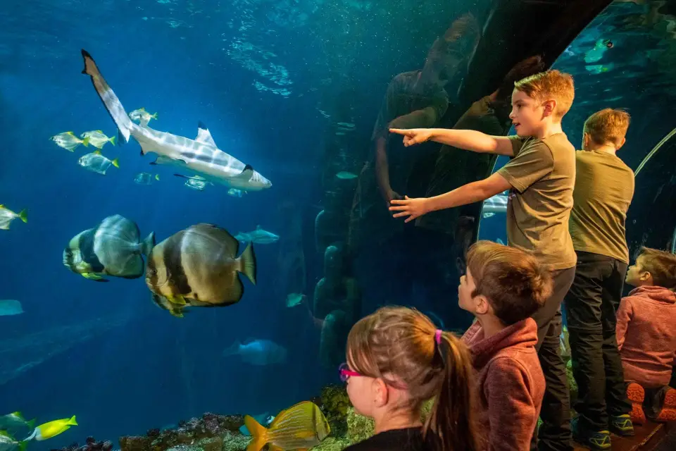 Múnich: Ticket de entrada de un día a Sea Life