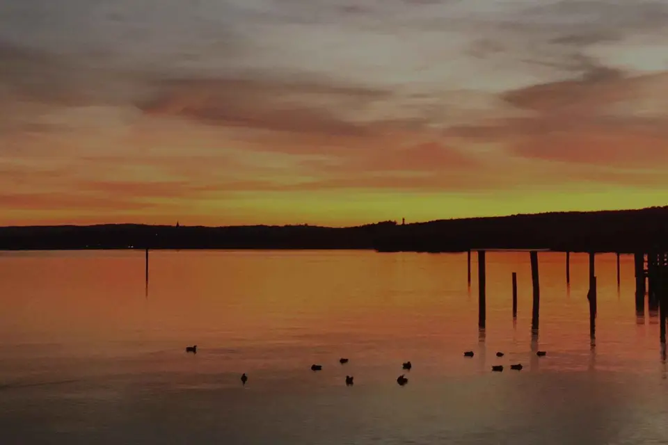 Múnich: Visita guiada privada a Ammersee - Visitas + Comida