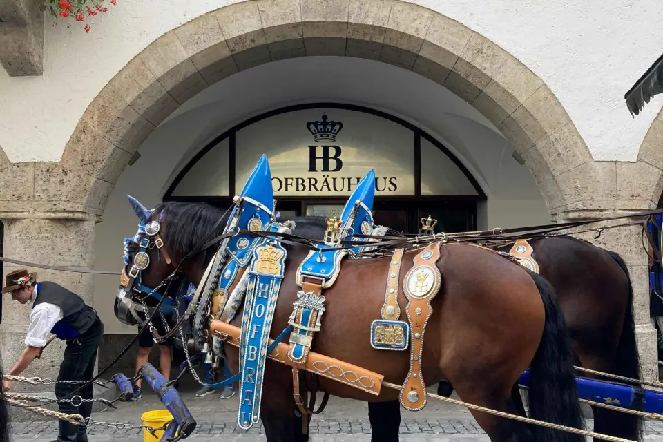 Múnich: Walking Tour Highlights of the Old Town en inglés