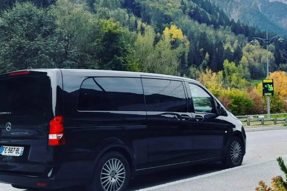 Paris: 1 way Private Airport Transfer To & From Hotel