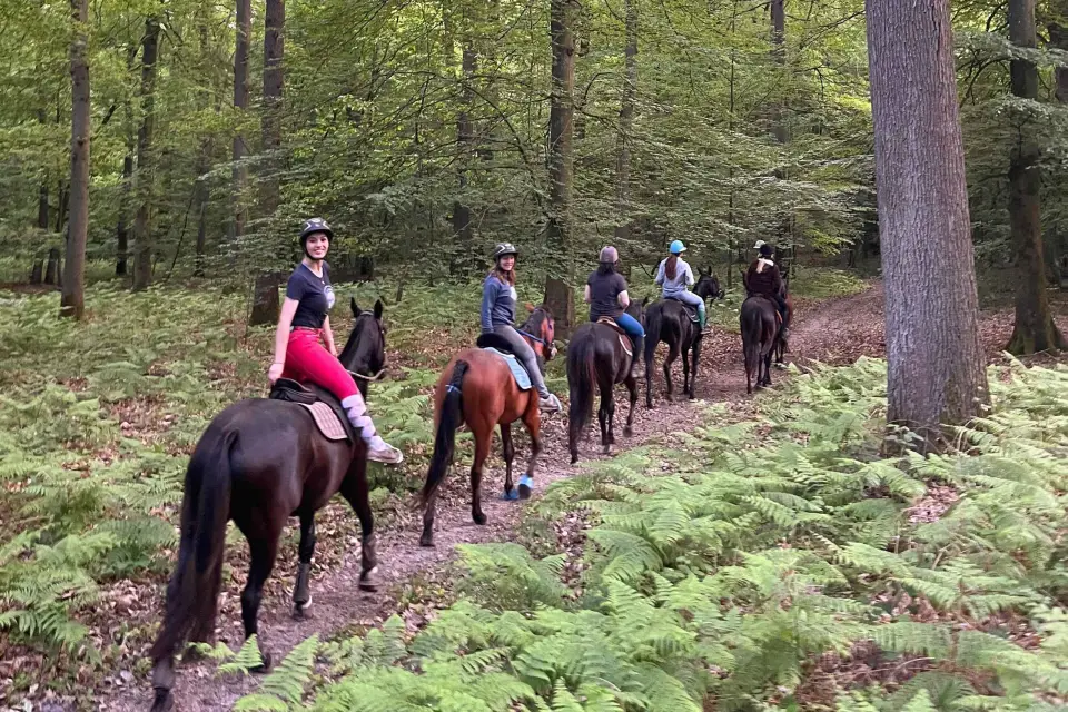 París: Excursión a Caballo por Aumont-en-Halatte