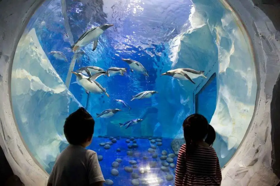 SEA LIFE París: Ticket de entrada